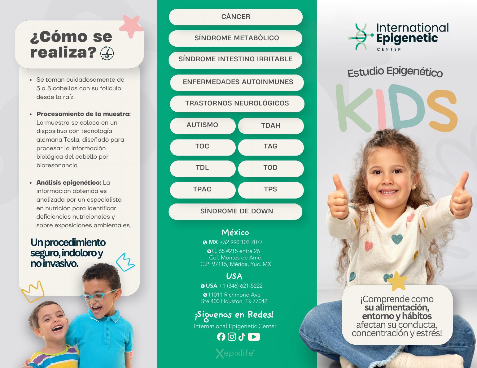 Vista previa del folleto Estudio Epigenético Kids
