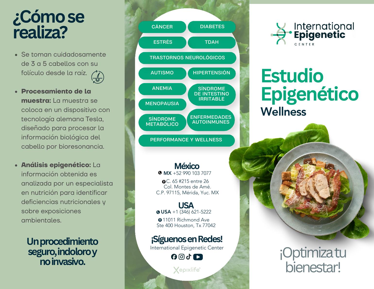 Vista previa del folleto Estudio Epigenético Wellness